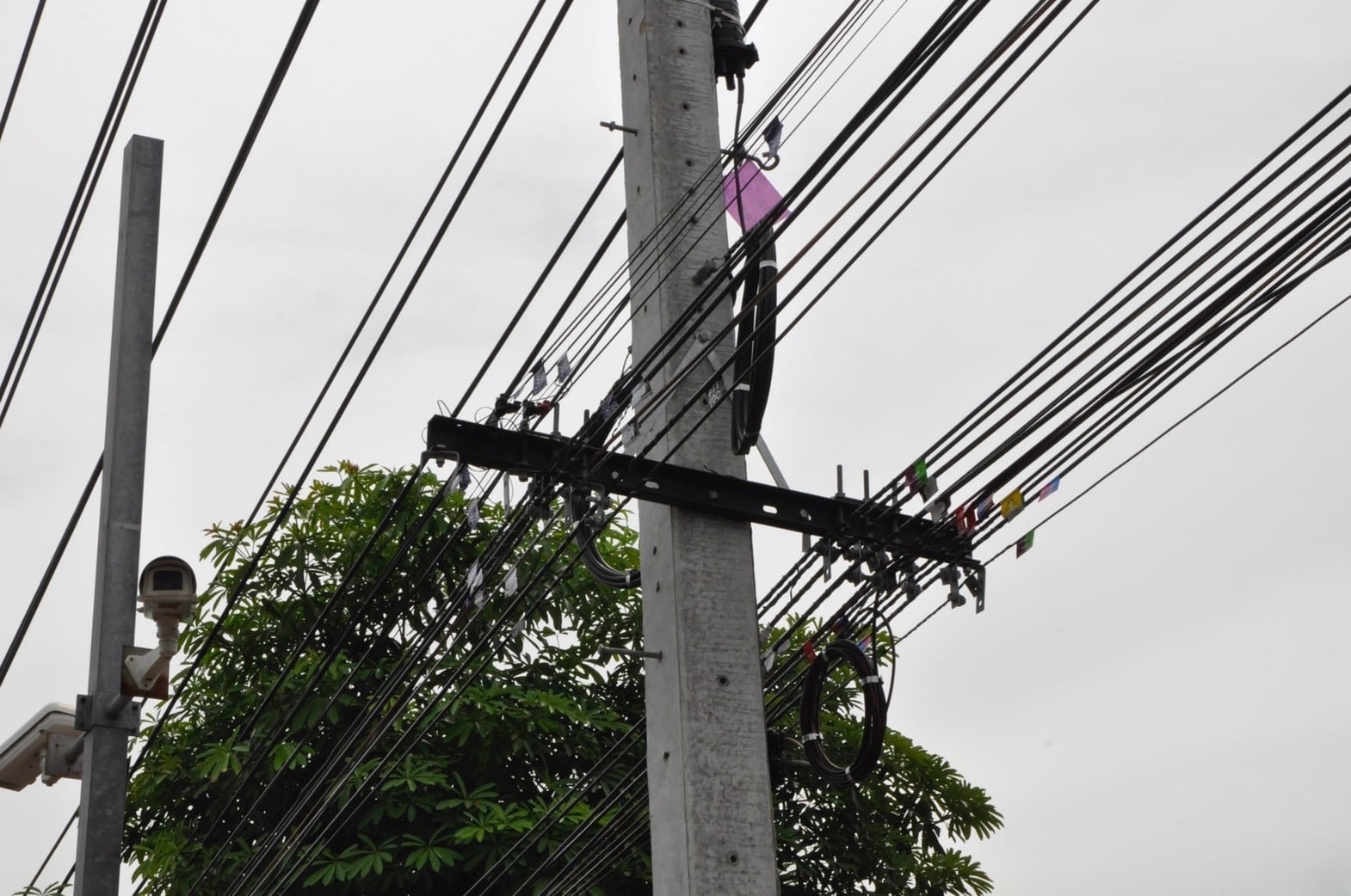 S__53281398.jpg S__53281398.jpg